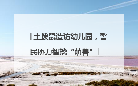 土拨鼠造访幼儿园，警民协力智擒“萌兽”