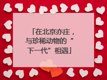 在北京亦庄，与珍稀动物的“下一代”相遇