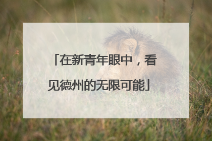 在新青年眼中，看见德州的无限可能