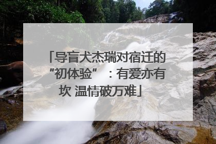 导盲犬杰瑞对宿迁的“初体验”：有爱亦有坎 温情破万难