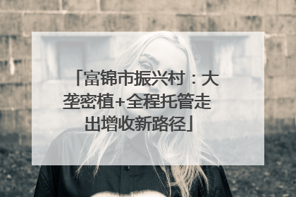 富锦市振兴村：大垄密植+全程托管走出增收新路径