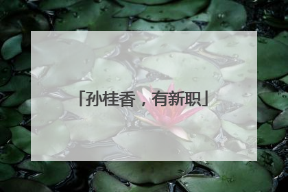 孙桂香，有新职