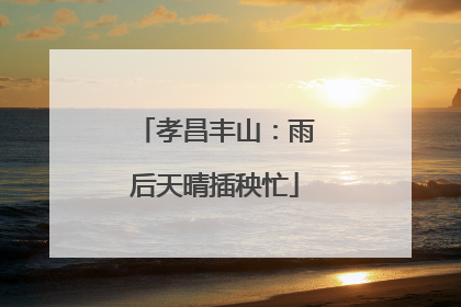 孝昌丰山：雨后天晴插秧忙