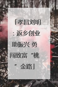 孝昌刘明：返乡创业助振兴 勇闯致富“桃”金路
