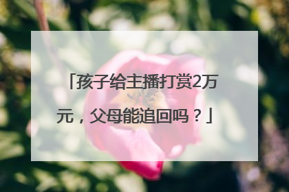 孩子给主播打赏2万元，父母能追回吗？