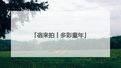 宿来拍丨多彩童年