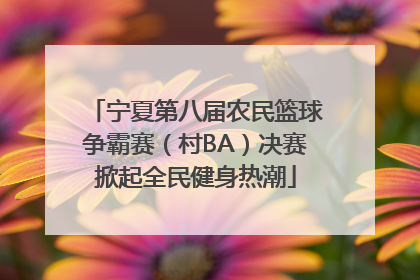 宁夏第八届农民篮球争霸赛（村BA）决赛掀起全民健身热潮