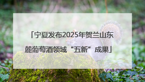 宁夏发布2025年贺兰山东麓葡萄酒领域“五新”成果