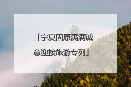 宁夏固原满满诚意迎接旅游专列
