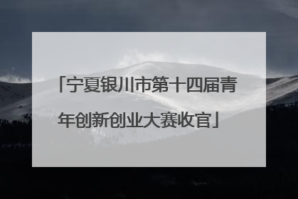 宁夏银川市第十四届青年创新创业大赛收官