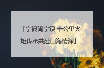 宁夏闽宁镇 十公里火炬传承共赴山海情深