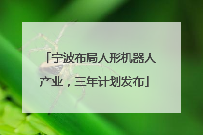 宁波布局人形机器人产业，三年计划发布