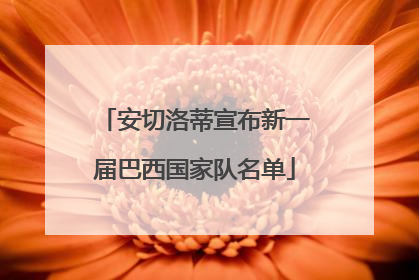 安切洛蒂宣布新一届巴西国家队名单