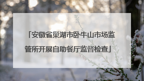安徽省巢湖市卧牛山市场监管所开展自助餐厅监督检查