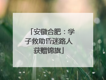 安徽合肥：学子救助昏迷路人获赠锦旗