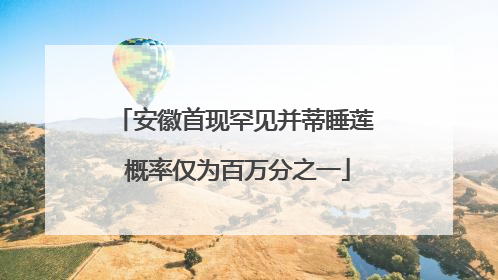 安徽首现罕见并蒂睡莲 概率仅为百万分之一