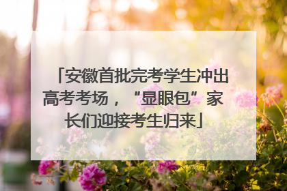安徽首批完考学生冲出高考考场，“显眼包”家长们迎接考生归来