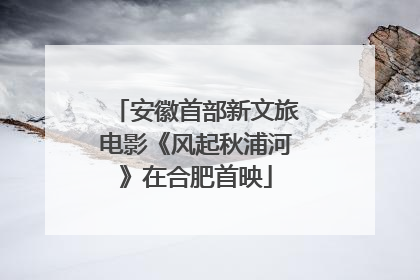 安徽首部新文旅电影《风起秋浦河》在合肥首映