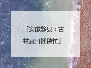 安徽黟县：古村夏日插秧忙