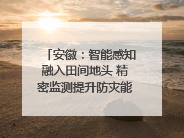 安徽：智能感知融入田间地头 精密监测提升防灾能力｜增发国债气象项目落地见效系列报道
