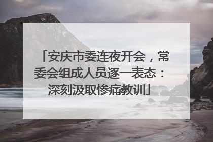 安庆市委连夜开会，常委会组成人员逐一表态：深刻汲取惨痛教训