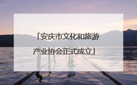 安庆市文化和旅游产业协会正式成立