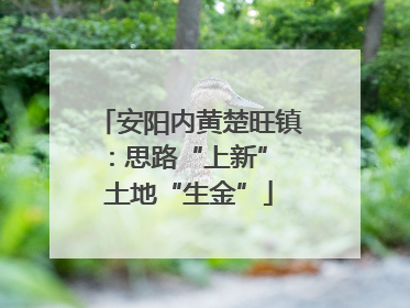 安阳内黄楚旺镇：思路“上新” 土地“生金”