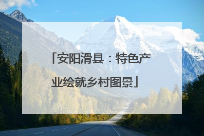 安阳滑县：特色产业绘就乡村图景