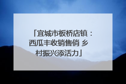 宜城市板桥店镇：西瓜丰收销售俏 乡村振兴添活力