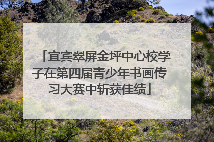 宜宾翠屏金坪中心校学子在第四届青少年书画传习大赛中斩获佳绩