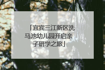 宜宾三江新区洗马池幼儿园开启亲子研学之旅