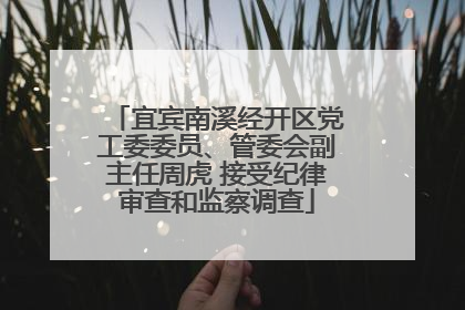 宜宾南溪经开区党工委委员、管委会副主任周虎 接受纪律审查和监察调查
