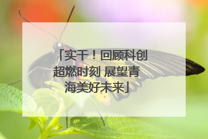 实干！回顾科创超燃时刻 展望青海美好未来