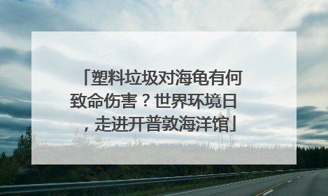 塑料垃圾对海龟有何致命伤害？世界环境日，走进开普敦海洋馆
