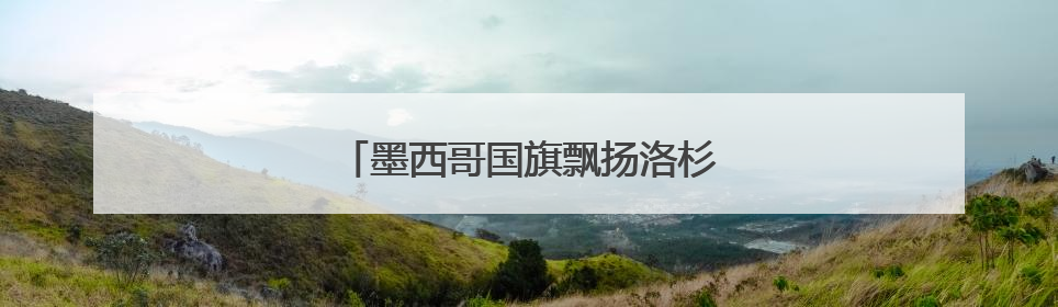 墨西哥国旗飘扬洛杉矶 白宫：看，罪证