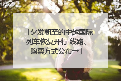 夕发朝至的中越国际列车恢复开行 线路、购票方式公布→