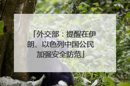 外交部：提醒在伊朗、以色列中国公民加强安全防范