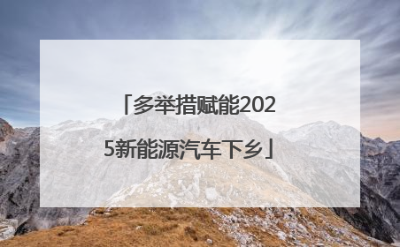 多举措赋能2025新能源汽车下乡