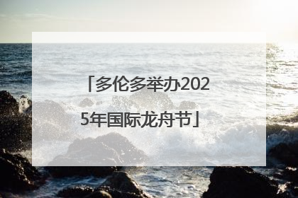 多伦多举办2025年国际龙舟节