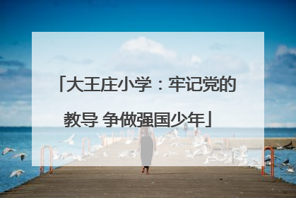 大王庄小学：牢记党的教导 争做强国少年