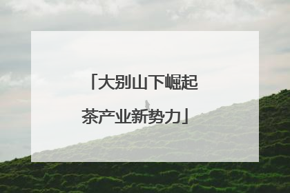 大别山下崛起茶产业新势力