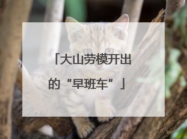 大山劳模开出的“早班车”