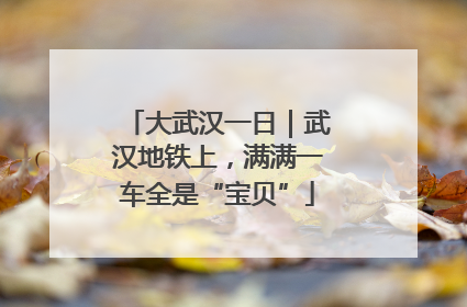 大武汉一日｜武汉地铁上，满满一车全是“宝贝”