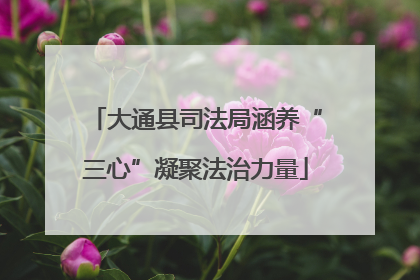 大通县司法局涵养“三心”凝聚法治力量