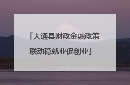 大通县财政金融政策联动稳就业促创业