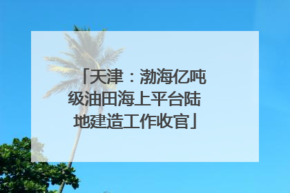 天津：渤海亿吨级油田海上平台陆地建造工作收官