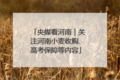 央媒看河南｜关注河南小麦收购、高考保障等内容