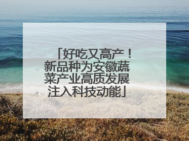 好吃又高产！新品种为安徽蔬菜产业高质发展注入科技动能