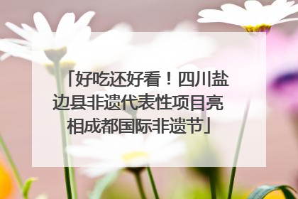 好吃还好看！四川盐边县非遗代表性项目亮相成都国际非遗节