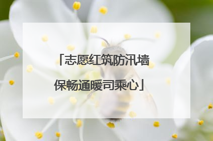 志愿红筑防汛墙 保畅通暖司乘心